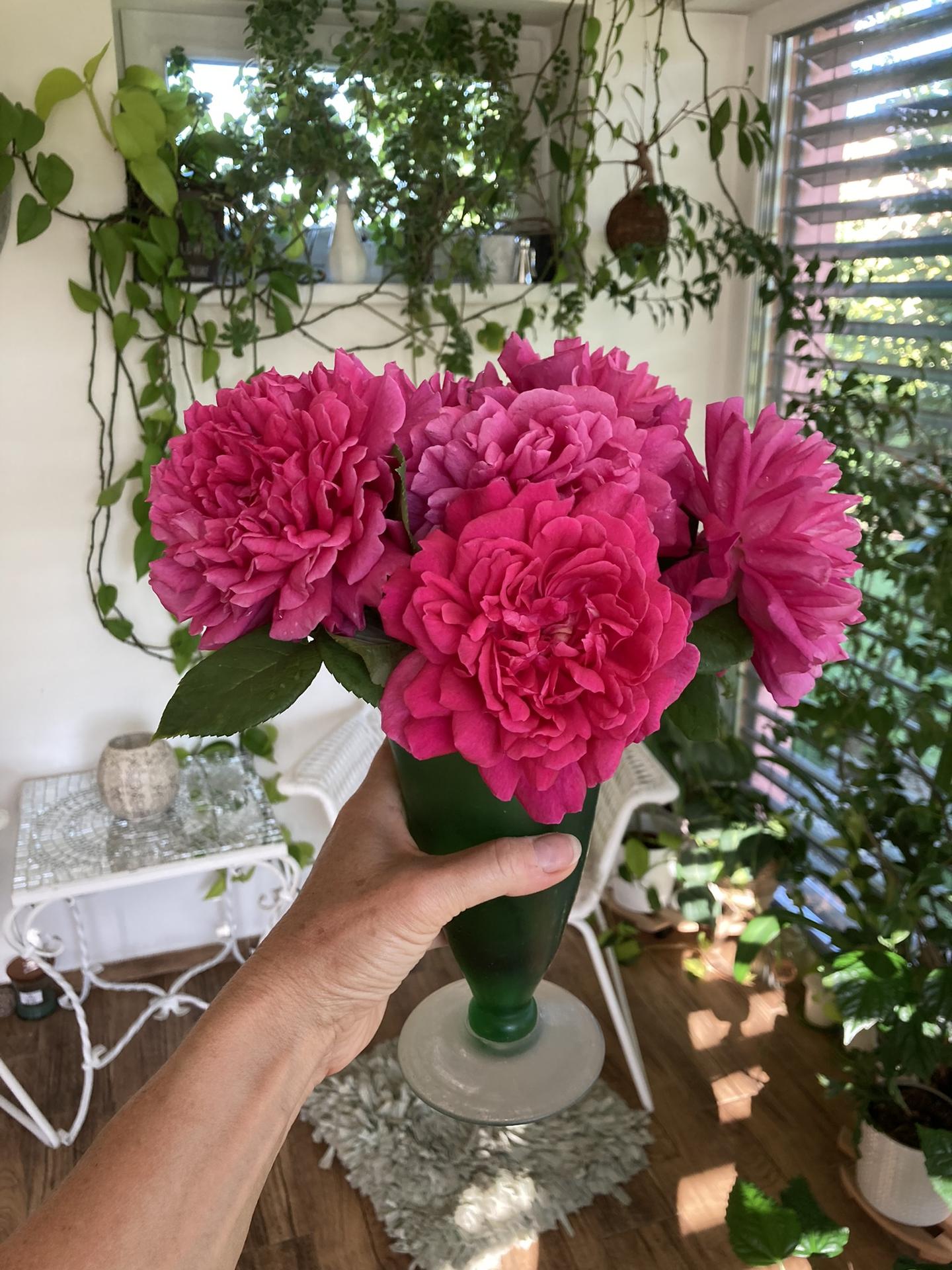 Zahrada 2022 - Sophy ´ s Rose zachranena pred bourkou