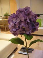 moja hortenzia :o) ...ikea 199,-sk