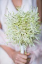 astilbe tentokrát v bílé