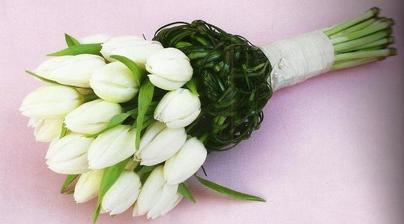 jednoduchá krása tulipánů v kornoutku z beergrassu