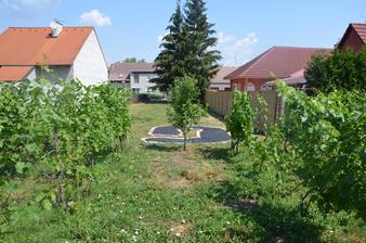 pohled od modrého sudu středem vinohradu, přes jablůňku, na nový jahodový záhon