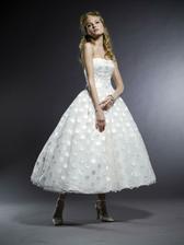 Cute dotty :)