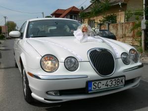 a už je tu môj vysnívaný biely jaguár