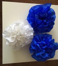 Moje prvni Pom Poms