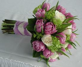 favorit 3