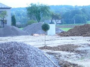 manžel zasadil strom a říkal, že má splněno. Zasadil strom, postavil dům a splodil syna a dceru.