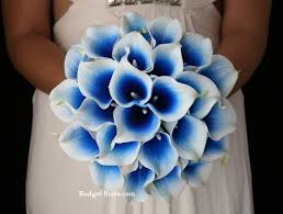 svatebni kytice - modra/fialova cala lily nebo modrofialova orchidej ...