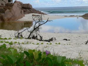 La Digue - Petit Anse, rozpravka .-)