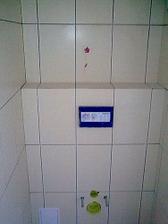 wc je zlte
