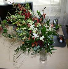presne som si objednala ake typy orchidei chcem, povedala som ze chcem vela zeleneho, bieleho a brectanu, previsnutu a voala, trafili sa :) bola som nadmieru spokojna ked som ju videla, kedze obrazok neexistoval, dokonca ani v mojej hlave, proste len