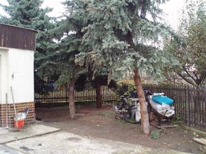 před