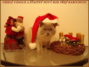 16.12.VESELÉ VÁNOCE BUDOU,DNES JSME SI DAMIÁNKA PŘINSLI Z TOULEK :-)Tak letos to na veselé Vánoce nevypadá. Damíánek odešel 10.12. na procházku a už se nevrátil. Ještě bojujeme,hledáme, roznášíme letáky, ale ztrácím naději,už nemám sílu ani brečet.