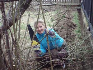 28.3.2010 klestím jak o život, přes různé větvičky se k těm švestkám nedalo skoro dostat
