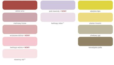 Vzorník namíchaných odstínů Dulux k dostání v Polsku - část D