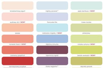 Vzorník namíchaných odstínů Dulux k dostání v Polsku - část C