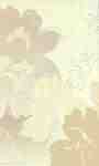delicate beige inserto ABC 30x50