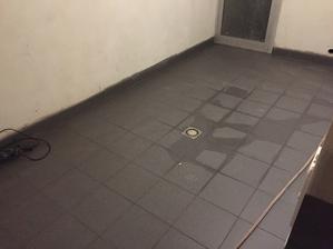 Kotolna vyfugovana