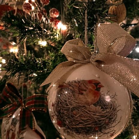 ...Náš  vidiecky  domov, domov s dušou a spomienkami na babku a dedka...