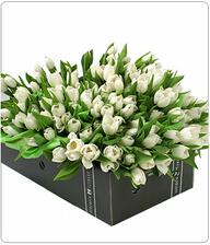 svadobná kytica bude z bielych tulipánov