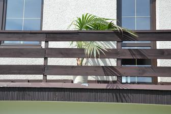 I kytka musela na balkon.