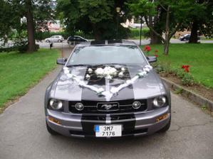 mustang pro nevestu