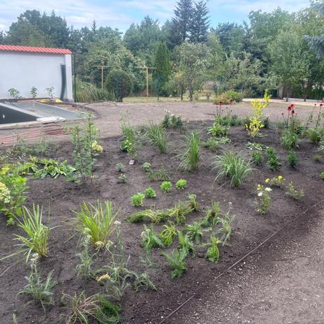 Renovace zahrady+ výstavba biotopu