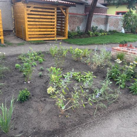 Renovace zahrady+ výstavba biotopu
