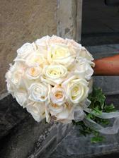 www.bloomies.cz