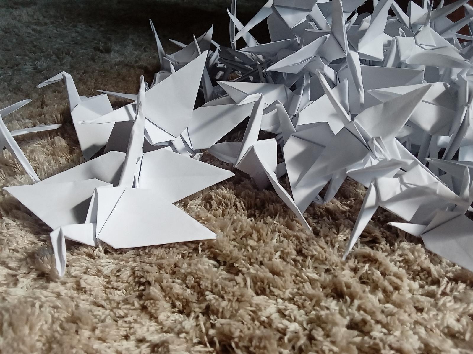 343 origami jeřábů - Obrázek č. 1