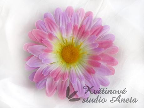 Květ gerbera růžová-fialková - Obrázek č. 1