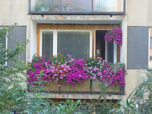 tak a toto byl muj balkon v byte, kde již nebydlím