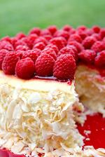 http://doughmesstic.com/2011/11/22/toasted-coconut-raspberry-cheesecakeand-a-giveaway/