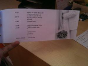 program