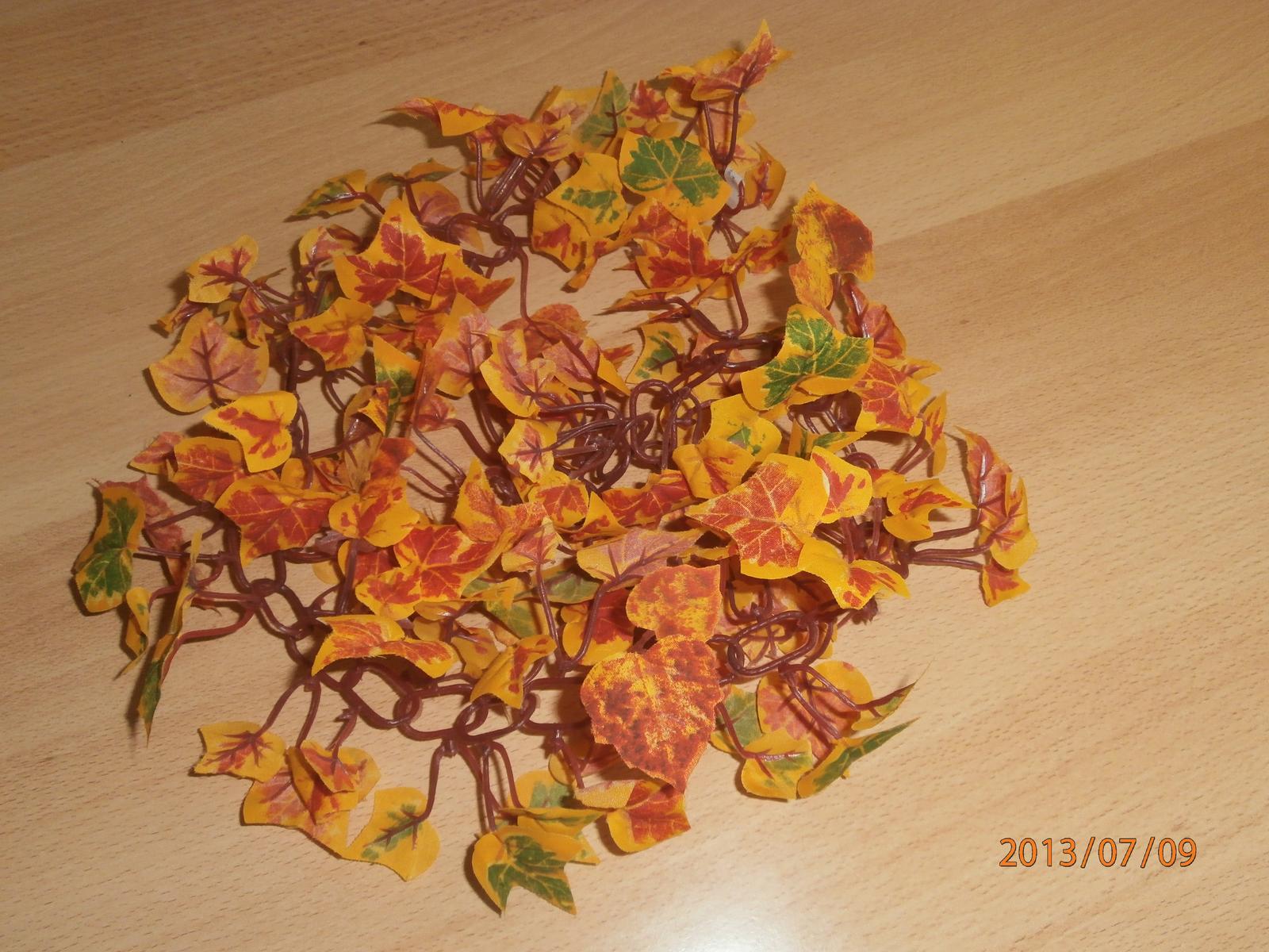 Kvet-ťahačka jeseň - Obrázok č. 1
