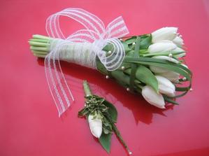 tulipany