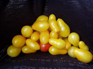 popri fotení som zbierala cherry paradajôčky