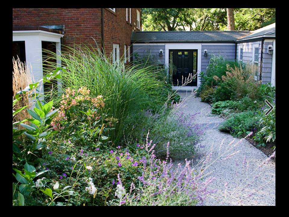Anglická zahrada - osazovací plány - krásné perowskie