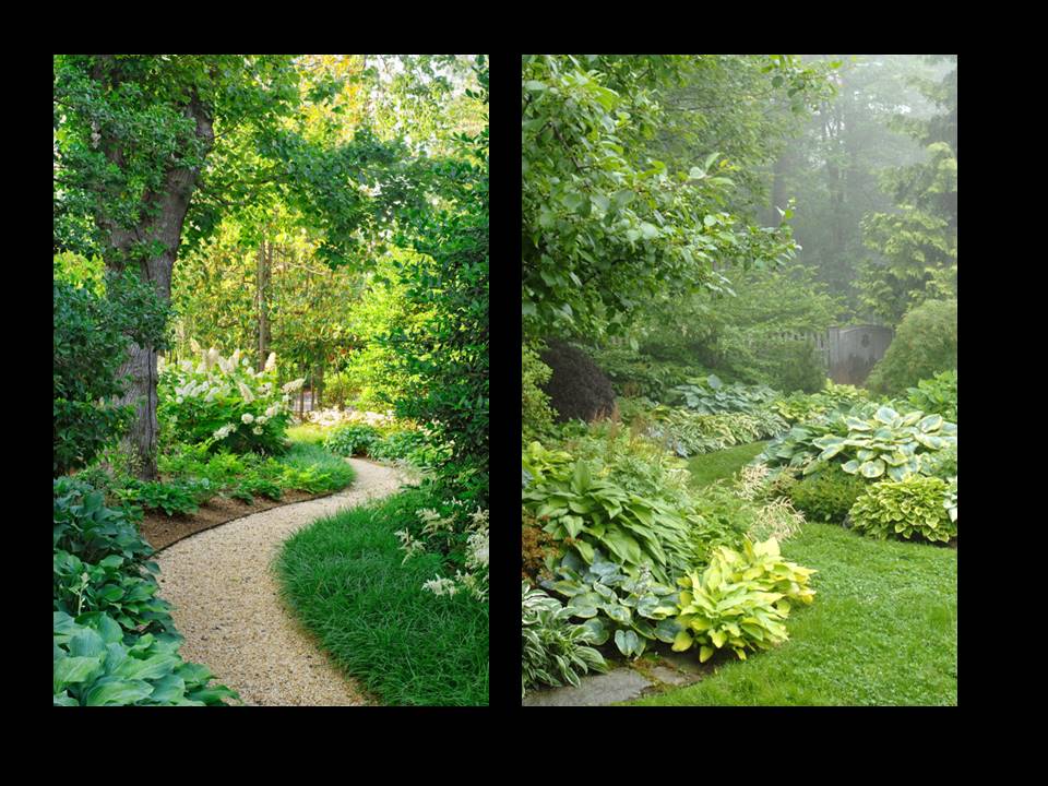 Anglická zahrada - osazovací plány - různé typy hosty