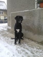 Nas uzasny strazca ... :*