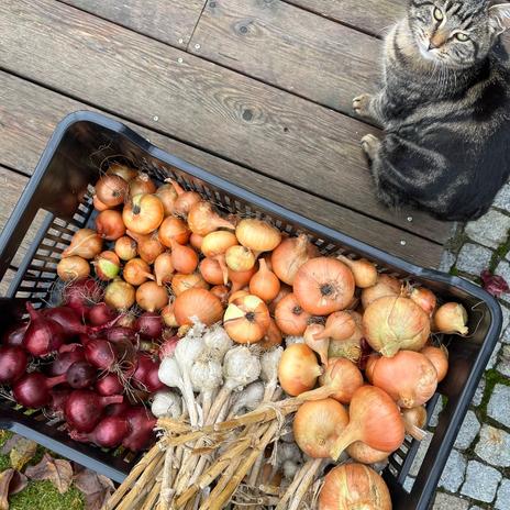 Náš dom pod ovocím a jedlá záhrada s biotopickým jazerom a saunou( diy)