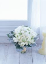 04su_F04S_8white4_0004_b