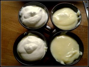 vanilkový pudlik s piškoty a jahodovou marmeládou a se šlehačkou (teda s tou jen pro mě, ten můj to nemusí)
