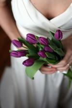 Chcem fialove tulipany