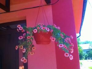 milion bells