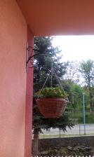 milion bells