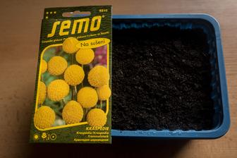 Billy Buttons - na tieto kvietky som velmi zvedava, ci sa podaria... a tiez som kupila gypsomilku na experiment, ci sa mi ju podari vypestovat v nasich podmienkach