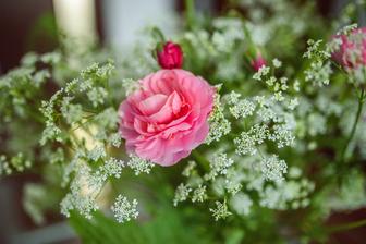 Divá mrkva (Queen Anna's Lace) - u nás na Slovensku nedocenená a považovaná za burinu, pretože vo voľnej prírode rastie v hojnom počte. V kombináciách s kvetmi krásne vynikne. Ja by som ju svojim zjavom prirovnala ku gypsomilke