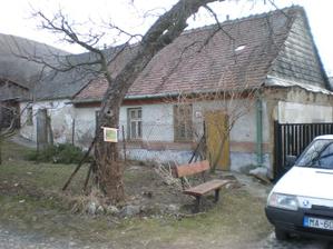 Jabloň, robila dobrú paseku na aute!!! Ručne som ju obkopal a sekerou preťal korene a šla von :-)