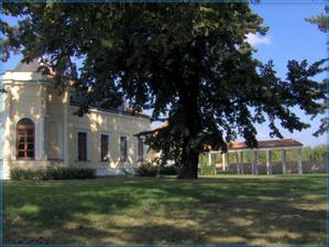 záhrada - to som vždy chcela