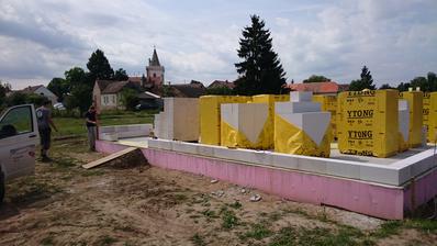 16.8.2016 - už to roste...